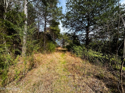 Tiny photo for 7 SW Owl Hollow, McDonald, TN 37353 (MLS # 1359529)