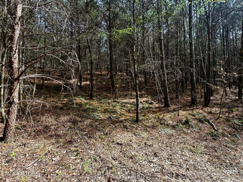 Tiny photo for 7 SW Owl Hollow, McDonald, TN 37353 (MLS # 1359529)