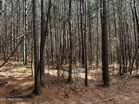 Tiny photo for 7 SW Owl Hollow, McDonald, TN 37353 (MLS # 1359529)