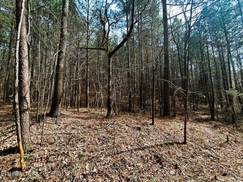 Tiny photo for 7 SW Owl Hollow, McDonald, TN 37353 (MLS # 1359529)