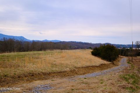 Tiny photo for 1440 Swannsylvania Rd #4, Dandridge, TN 37725 (MLS # 1332441)