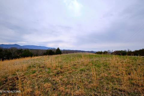 Tiny photo for 1440 Swannsylvania Rd #4, Dandridge, TN 37725 (MLS # 1332441)