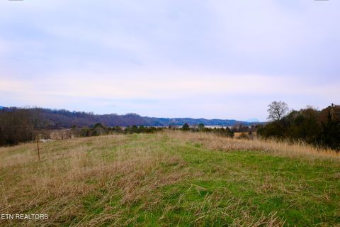 Tiny photo for 1440 Swannsylvania Rd #4, Dandridge, TN 37725 (MLS # 1332441)