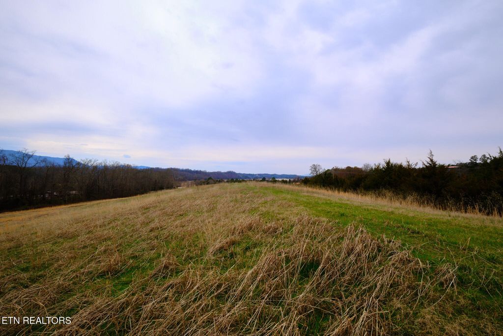 Photo of 1440 Swannsylvania Rd #4, Dandridge, TN 37725 (MLS # 1332441)