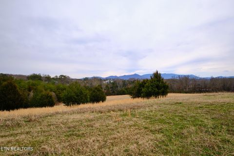 Tiny photo for 1440 Swannsylvania Rd #4, Dandridge, TN 37725 (MLS # 1332441)