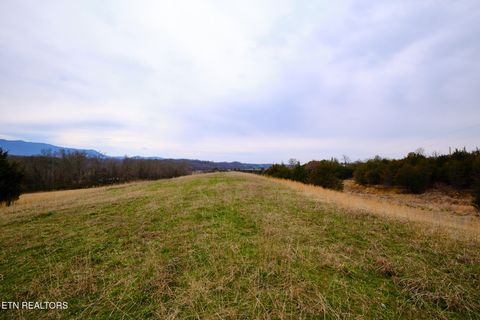 Tiny photo for 1440 Swannsylvania Rd #4, Dandridge, TN 37725 (MLS # 1332441)