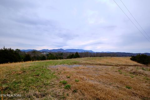 Tiny photo for 1440 Swannsylvania Rd #4, Dandridge, TN 37725 (MLS # 1332441)