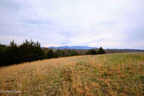 Tiny photo for 1440 Swannsylvania Rd #4, Dandridge, TN 37725 (MLS # 1332441)