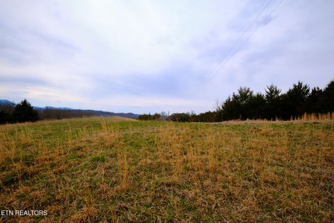 Tiny photo for 1440 Swannsylvania Rd #4, Dandridge, TN 37725 (MLS # 1332441)