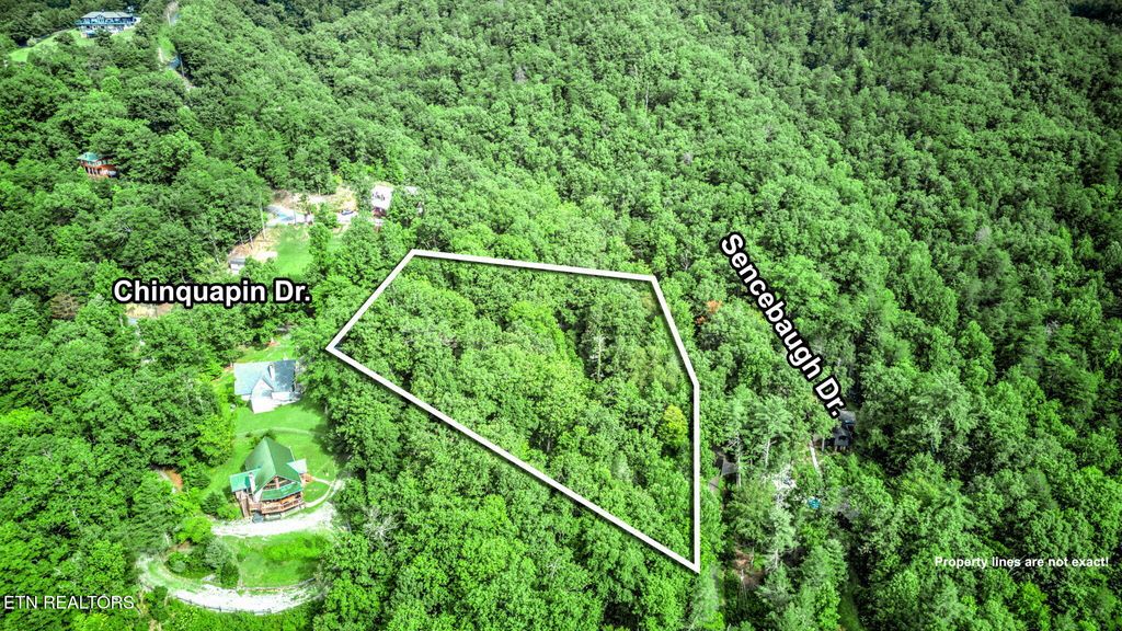 Photo of Chinquapin, Sevierville, TN 37876 (MLS # 1310068)