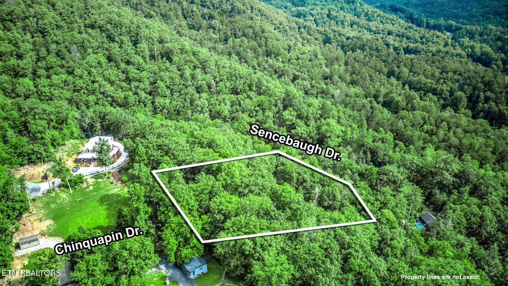 Photo of Chinquapin, Sevierville, TN 37876 (MLS # 1310068)