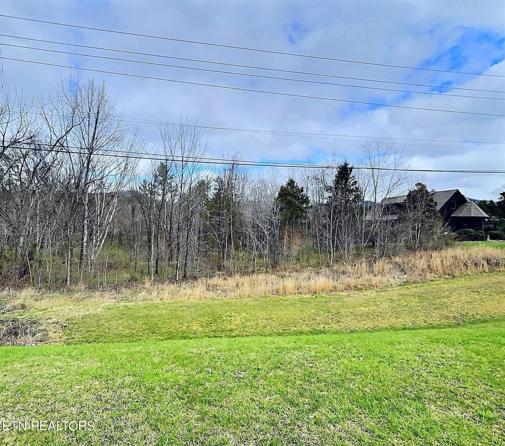 Photo of 7827 E Lamar Alexander Pkwy, Townsend, TN 37882 (MLS # 1255016)