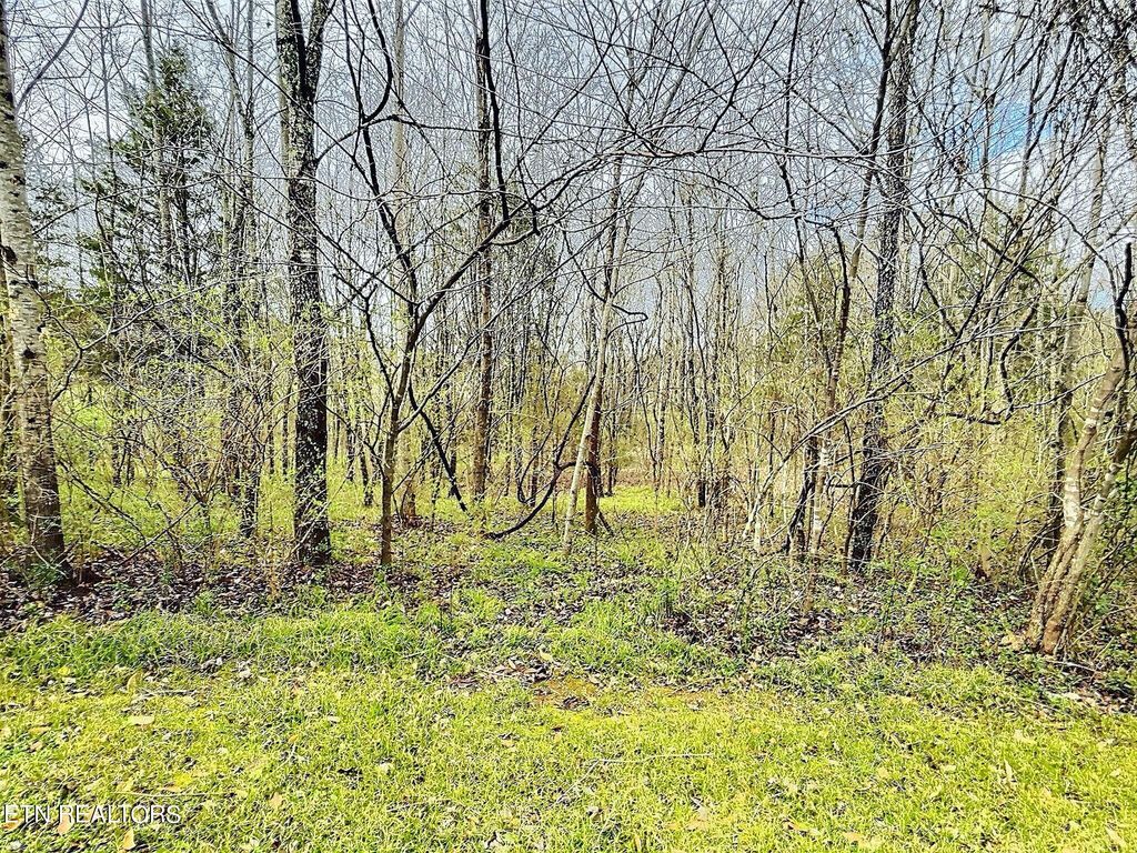 Photo of 7827 E Lamar Alexander Pkwy, Townsend, TN 37882 (MLS # 1255016)