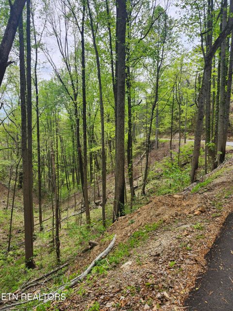 Tiny photo for 1 Hatcher Mtn Rd, Sevierville, TN 37862 (MLS # 1337137)