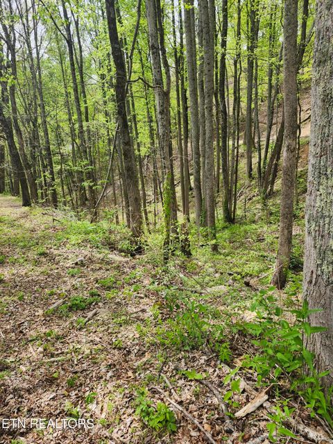 Tiny photo for 1 Hatcher Mtn Rd, Sevierville, TN 37862 (MLS # 1337137)