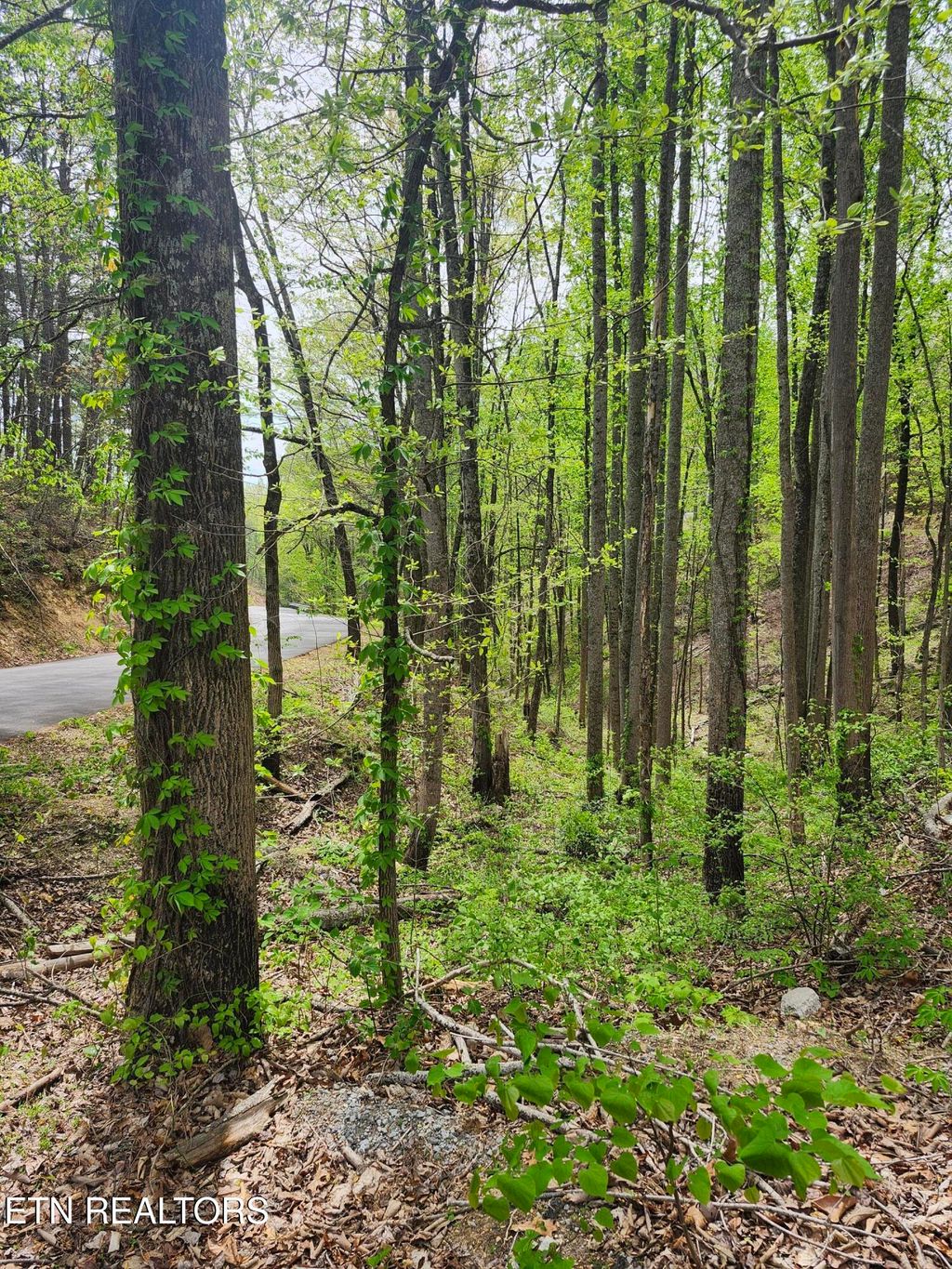 Photo of 1 Hatcher Mtn Rd, Sevierville, TN 37862 (MLS # 1337137)