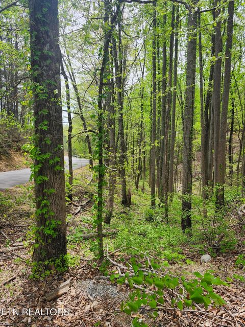 Tiny photo for 1 Hatcher Mtn Rd, Sevierville, TN 37862 (MLS # 1337137)