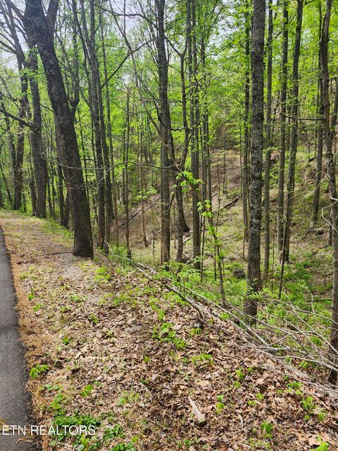 Tiny photo for 1 Hatcher Mtn Rd, Sevierville, TN 37862 (MLS # 1337137)