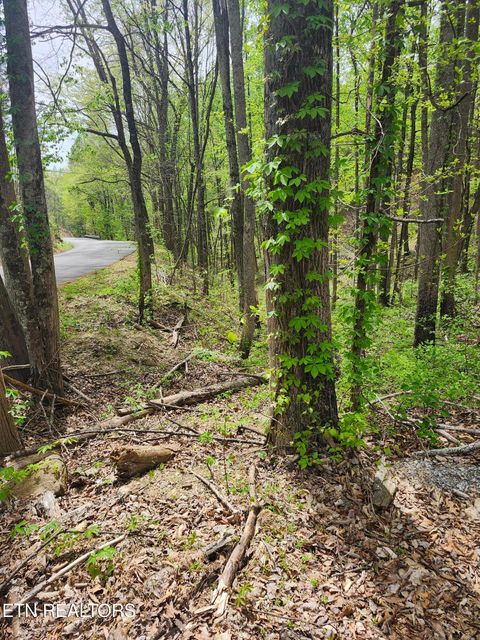 Tiny photo for 1 Hatcher Mtn Rd, Sevierville, TN 37862 (MLS # 1337137)