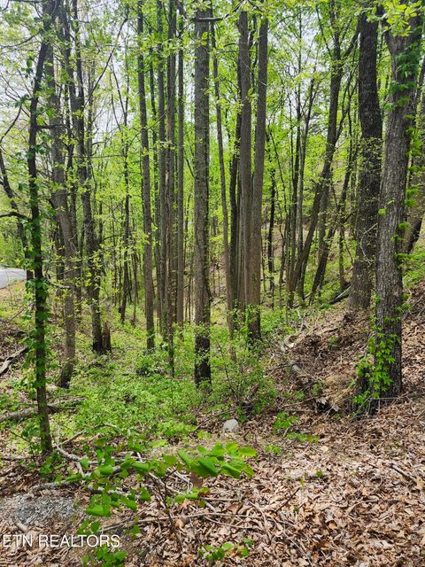 Photo of 1 Hatcher Mtn Rd, Sevierville, TN 37862 (MLS # 1337137)