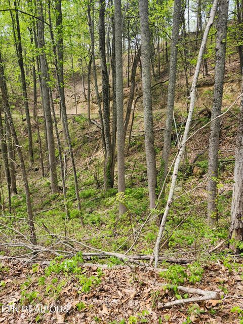 Tiny photo for 1 Hatcher Mtn Rd, Sevierville, TN 37862 (MLS # 1337137)