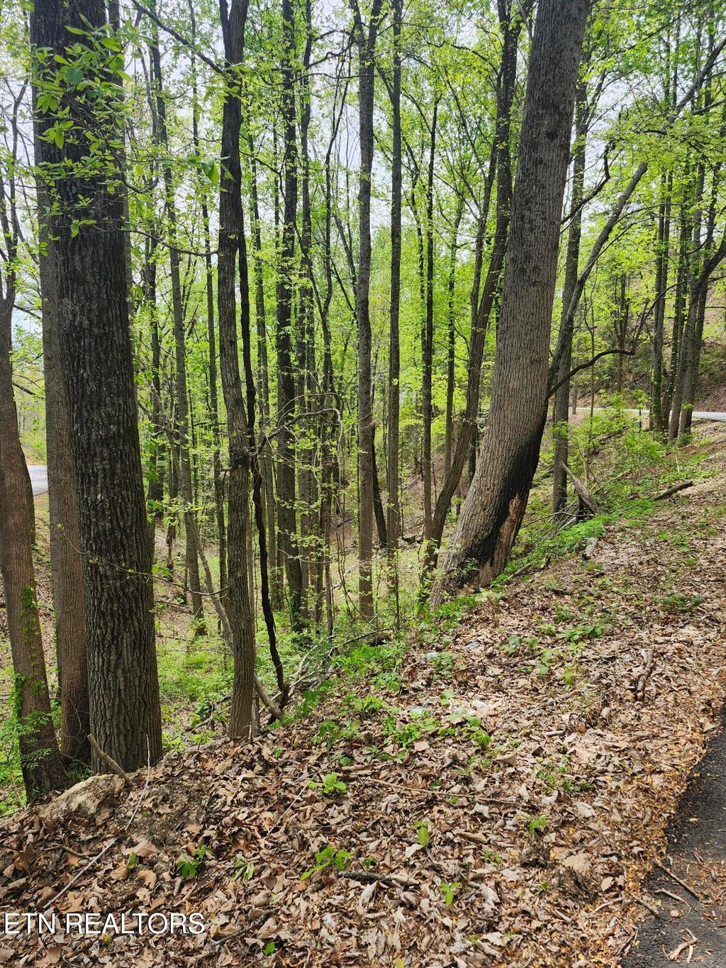 Photo of 1 Hatcher Mtn Rd, Sevierville, TN 37862 (MLS # 1337137)