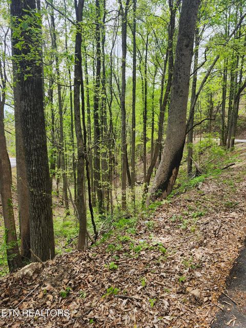 Tiny photo for 1 Hatcher Mtn Rd, Sevierville, TN 37862 (MLS # 1337137)