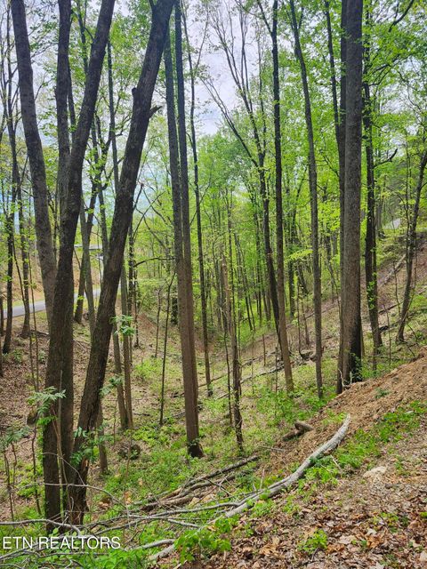 Tiny photo for 1 Hatcher Mtn Rd, Sevierville, TN 37862 (MLS # 1337137)