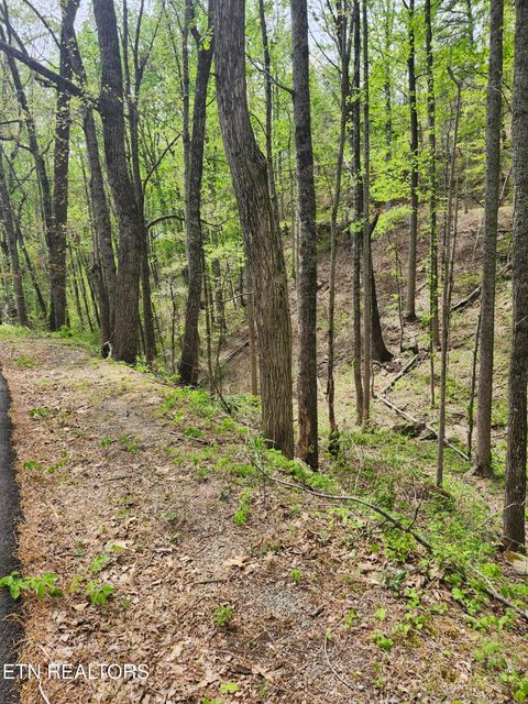 Tiny photo for 1 Hatcher Mtn Rd, Sevierville, TN 37862 (MLS # 1337137)