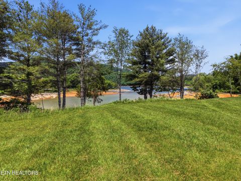 Tiny photo for 149 Nautical #Lot 149, Mooresburg, TN 37811 (MLS # 1341046)