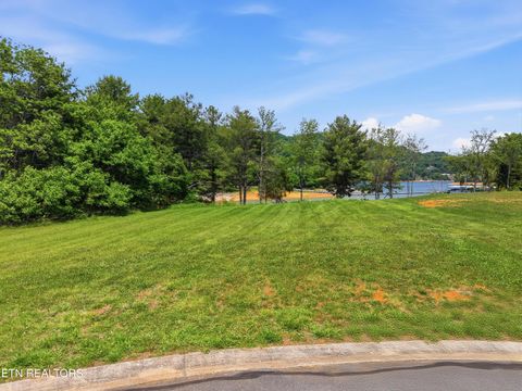 Tiny photo for 149 Nautical #Lot 149, Mooresburg, TN 37811 (MLS # 1341046)