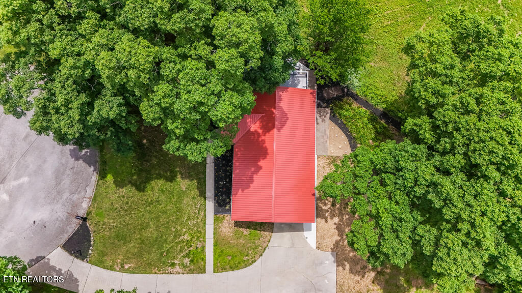 110 Courtland Lane