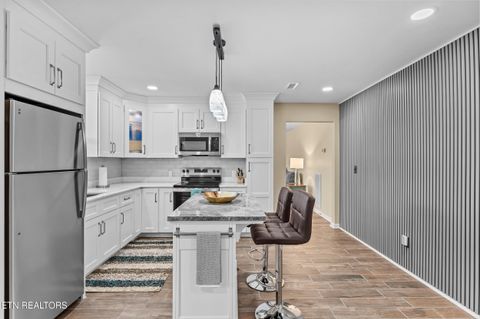 Tiny photo for 125 Eladi Tr, Vonore, TN 37885 (MLS # 1335627)