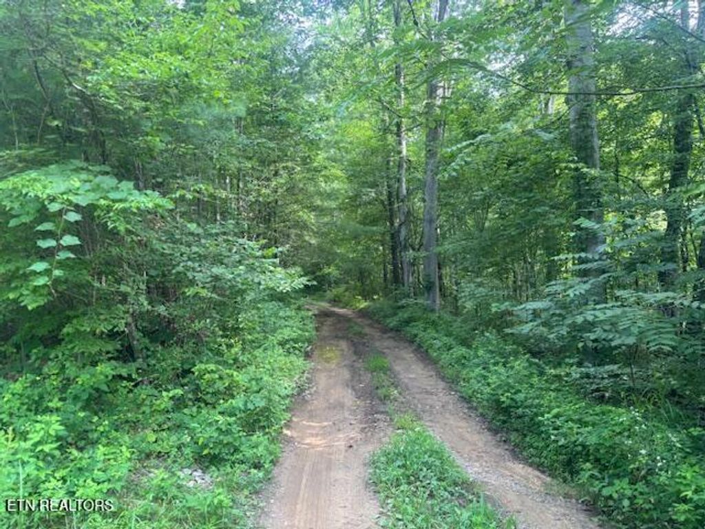 Photo of 171 Kirkland Drive, Crossville, TN 38555 (MLS # 1348638)