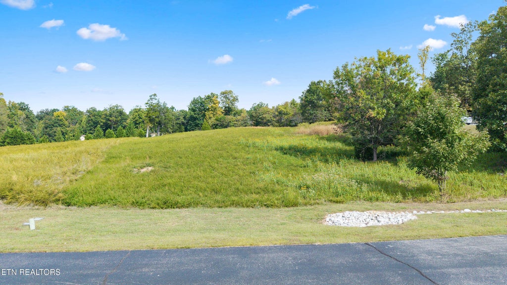 Photo of 144 E Shore Drive, Rockwood, TN 37854 (MLS # 1358713)