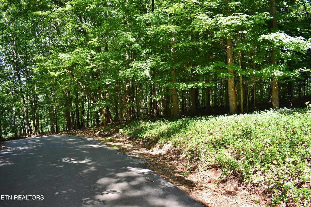 Photo of 3 Kirkham Drive, Rockwood, TN 37854 (MLS # 1307270)