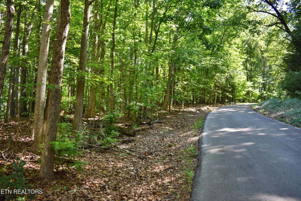 Photo of 3 Kirkham Drive, Rockwood, TN 37854 (MLS # 1307270)