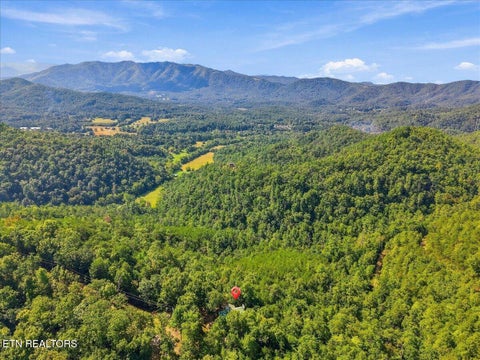 Tiny photo for 504 Twin Oak Mtn Lane, Townsend, TN 37882 (MLS # 1356159)