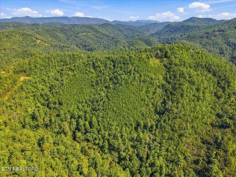 Tiny photo for 504 Twin Oak Mtn Lane, Townsend, TN 37882 (MLS # 1356159)