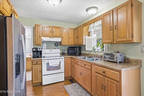 Tiny photo for 142 Overlook Tr, Maynardville, TN 37807 (MLS # 1332384)