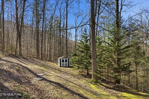 Tiny photo for 142 Overlook Tr, Maynardville, TN 37807 (MLS # 1332384)