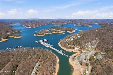 Tiny photo for 142 Overlook Tr, Maynardville, TN 37807 (MLS # 1332384)