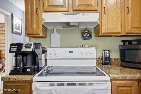 Tiny photo for 142 Overlook Tr, Maynardville, TN 37807 (MLS # 1332384)