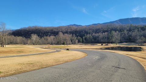 Tiny photo for 909 Grey Fox Tr, Gatlinburg, TN 37738 (MLS # 1326603)