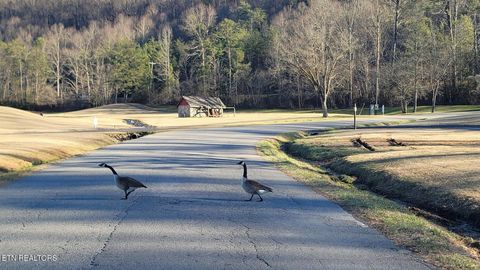 Tiny photo for 909 Grey Fox Tr, Gatlinburg, TN 37738 (MLS # 1326603)