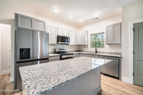 Tiny photo for 119 Walk in the Trees Drive, New Market, TN 37820 (MLS # 1318887)