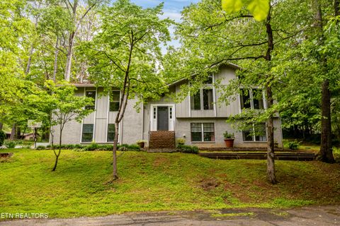 147 County Road 576 Englewood TN 37329