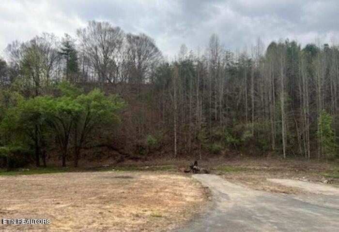 View Harriman, TN 37748 land