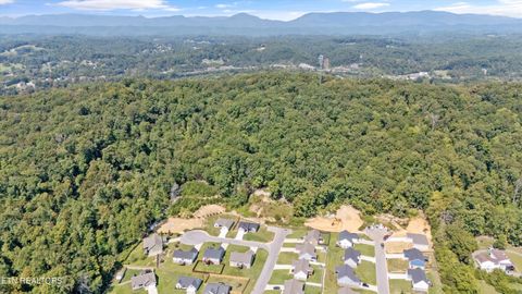Tiny photo for 211 Jason Hovater Way, Clinton, TN 37716 (MLS # 1315722)
