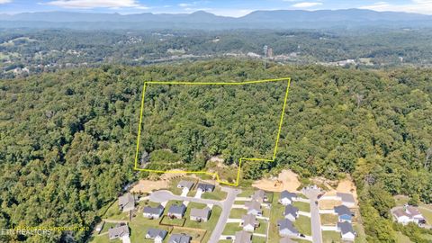 Photo of 211 Jason Hovater Way, Clinton, TN 37716 (MLS # 1315722)